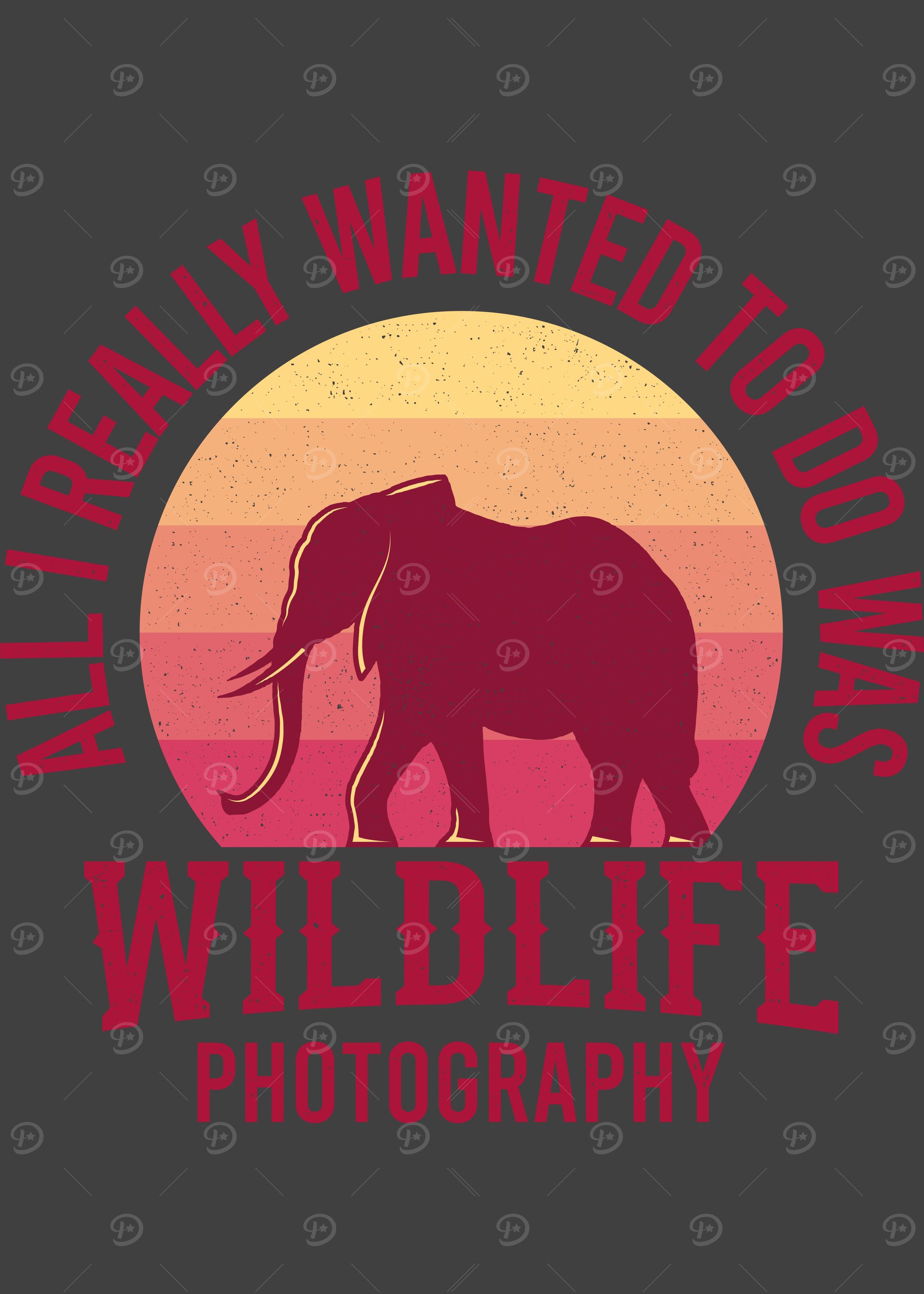 Wildlife Photographer