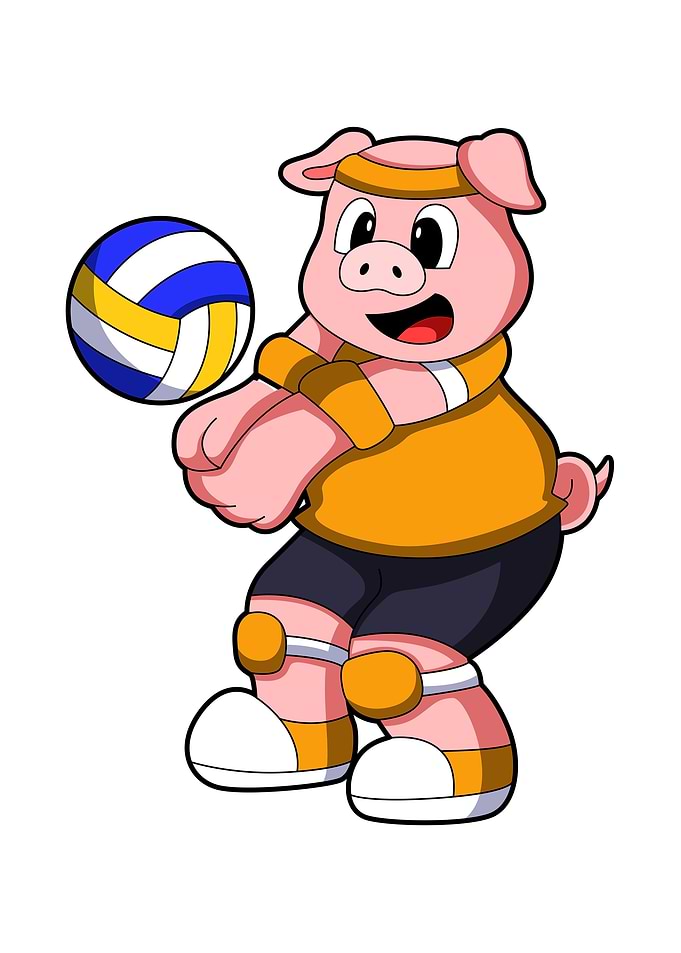 Pig Volleyball Sports