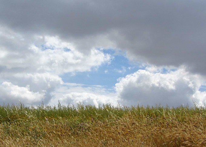 Field and sky