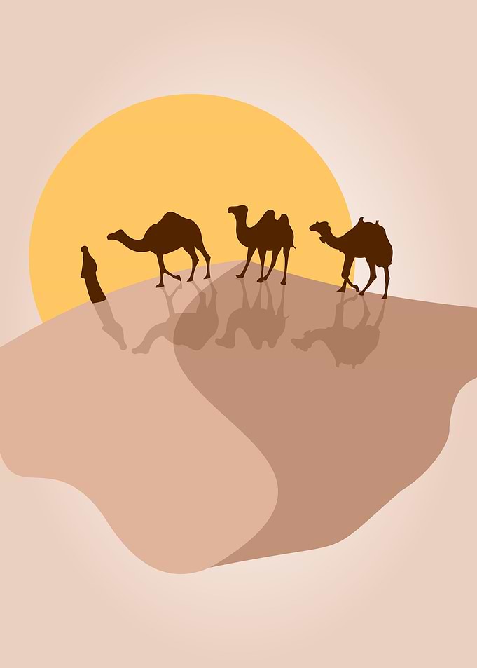 Desert Illustration