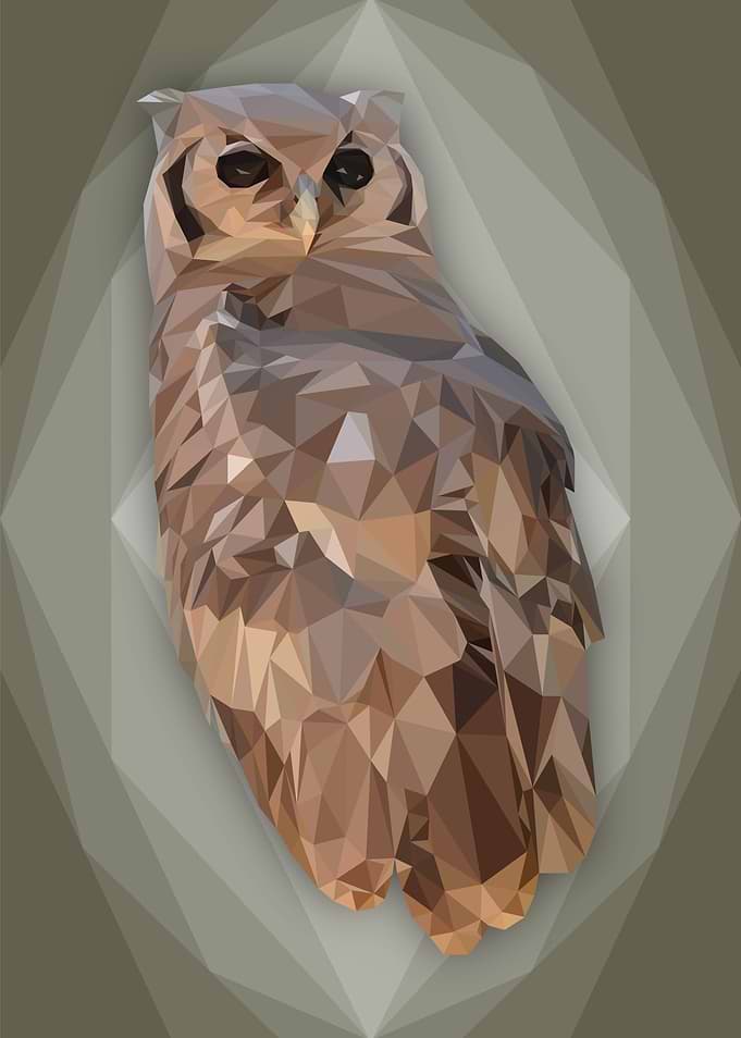 Overly Owl