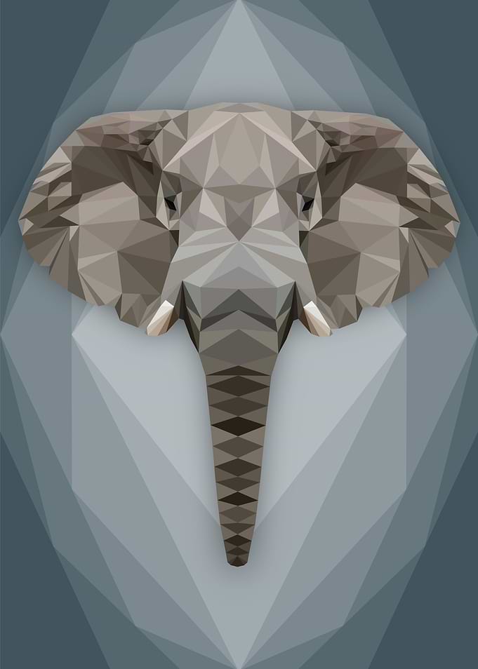 Eccentric Elephant