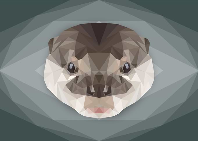 Otherworldly Otter