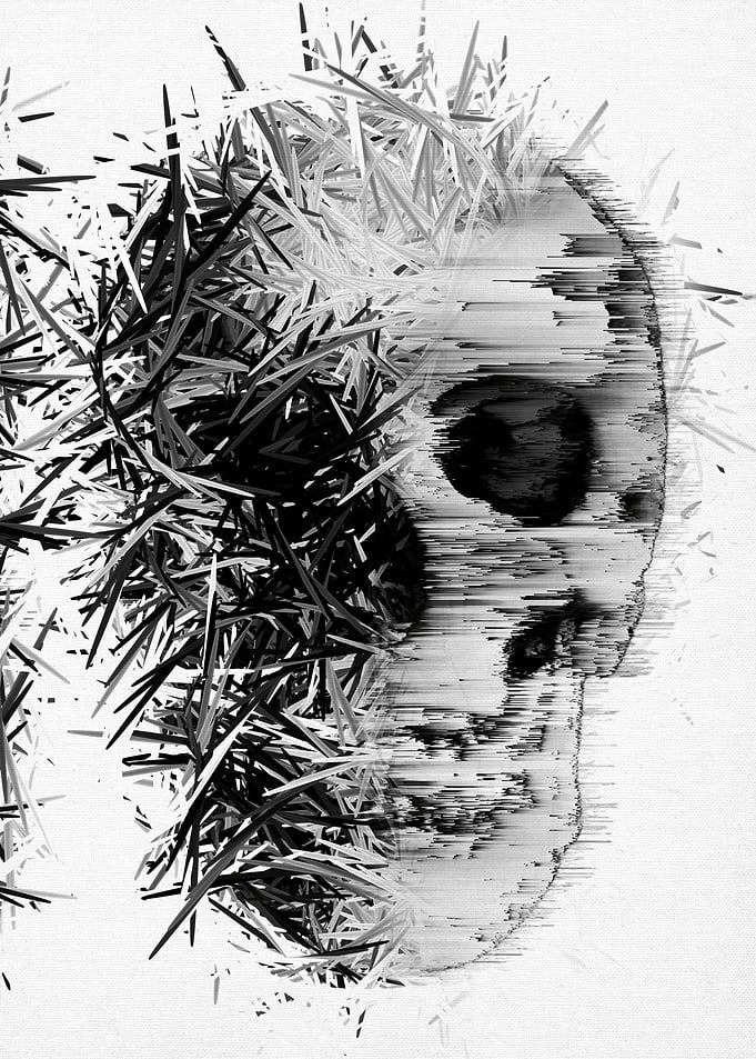 Abstract Skull