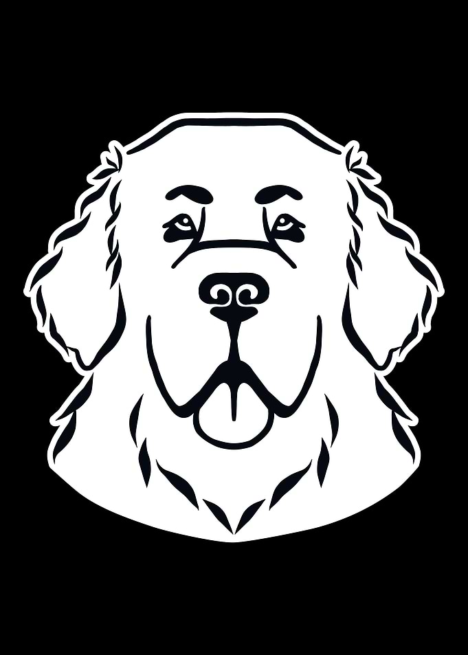 Newfoundland