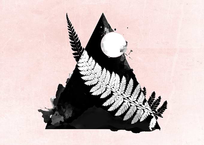 Fern
