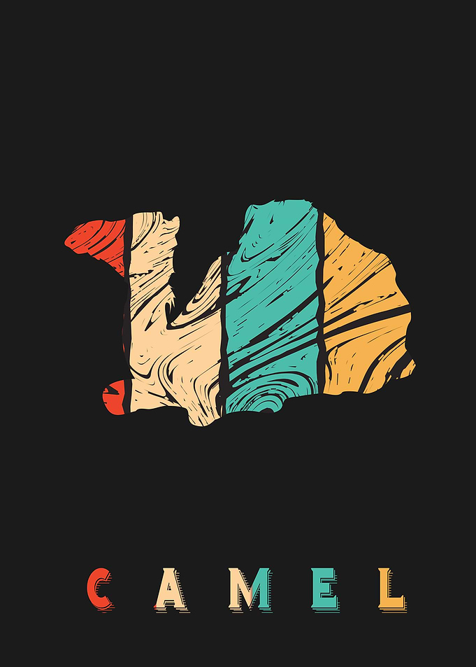 Camel