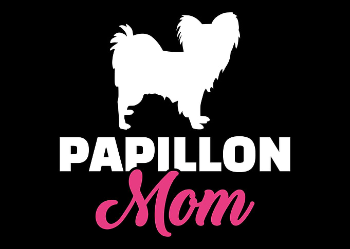 Papillon
