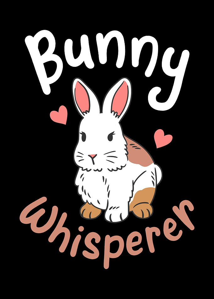 Rabbit Rodent