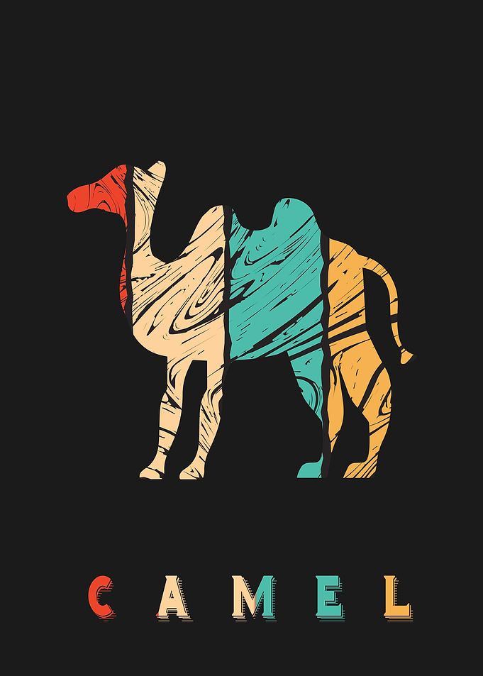 Camel