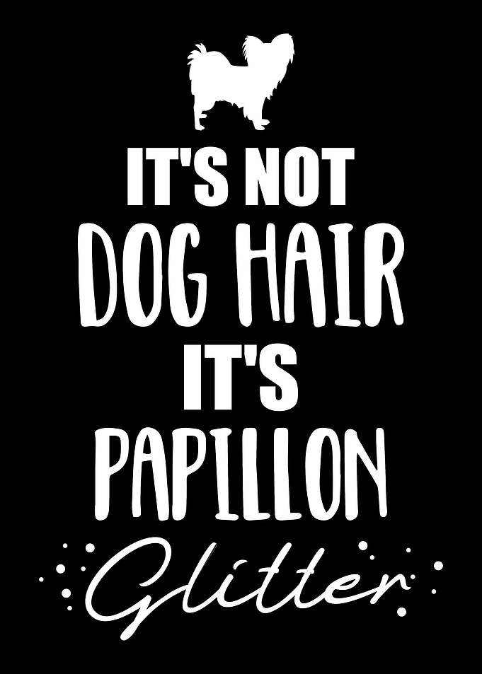 Papillon