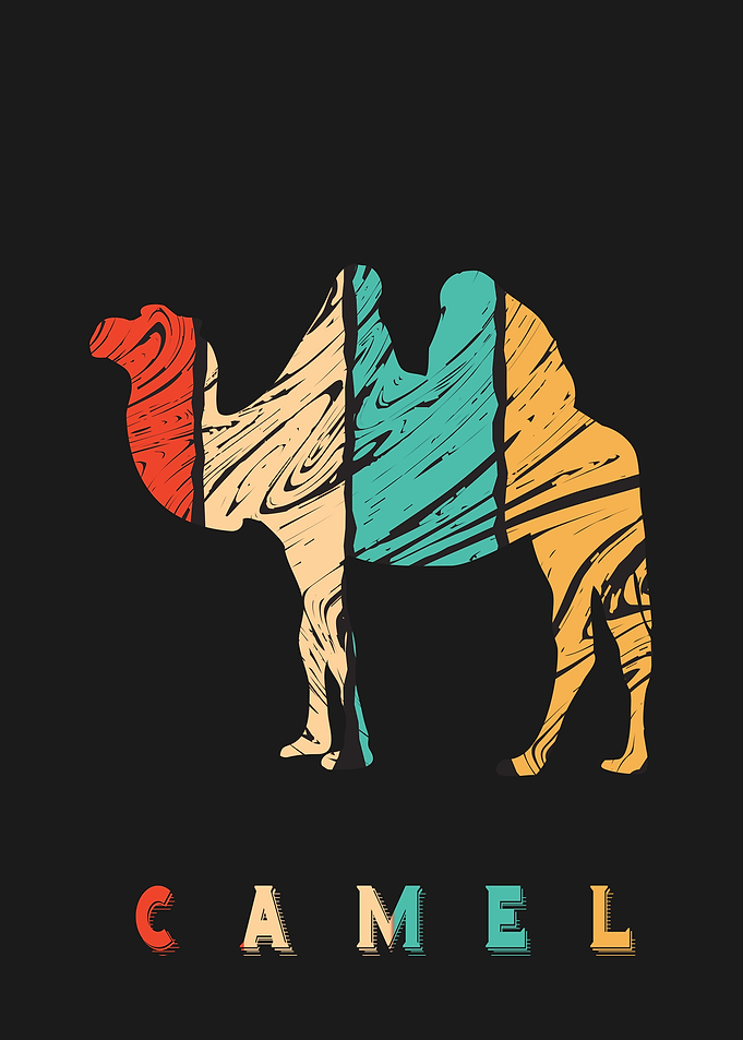 Camel