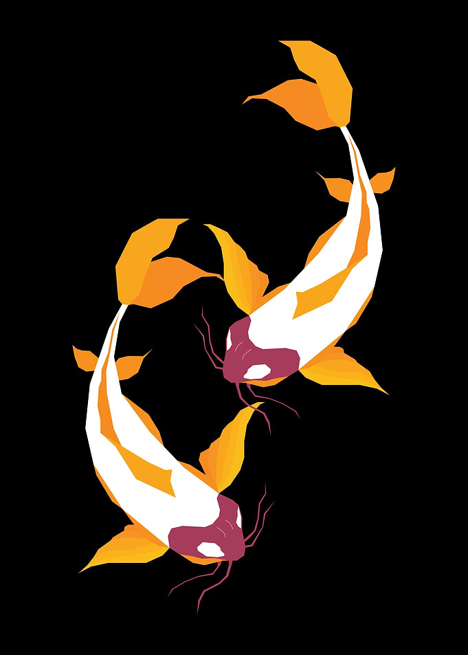 Koi