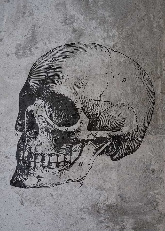 SKULL VINTAGE CONCRETE