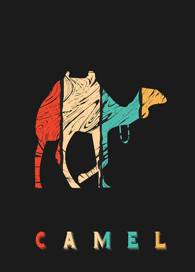 Camel