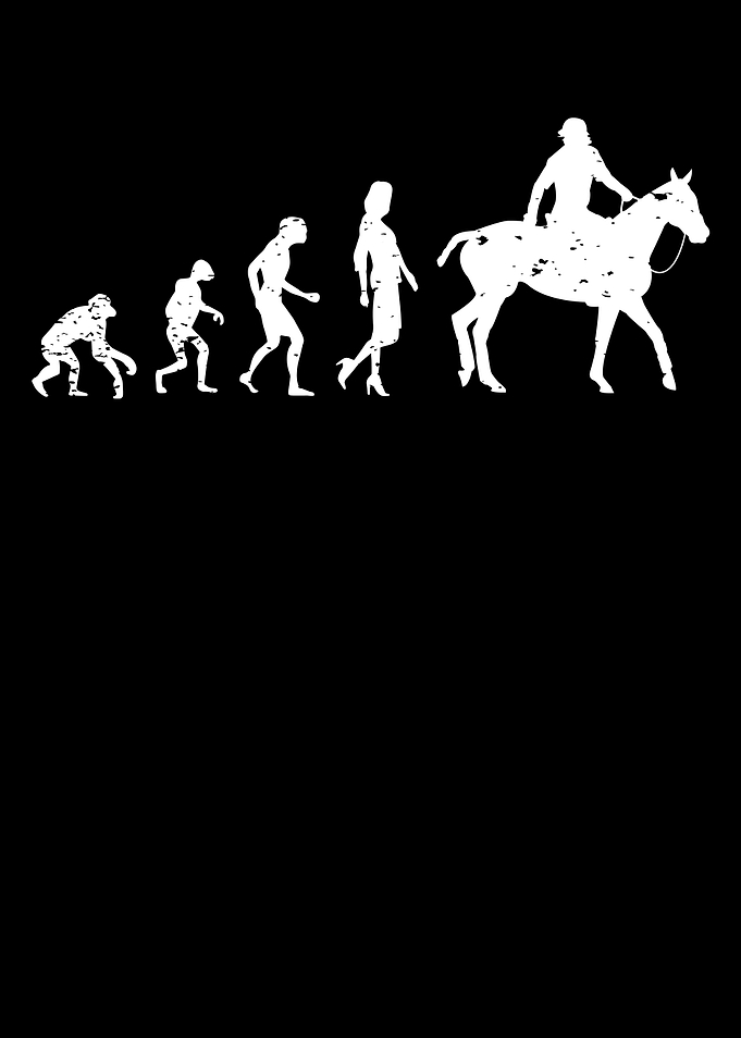 Horse evolution