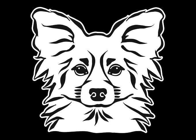 Papillon