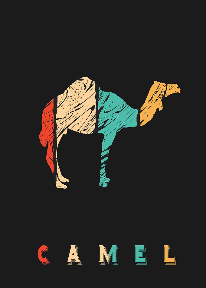Camel