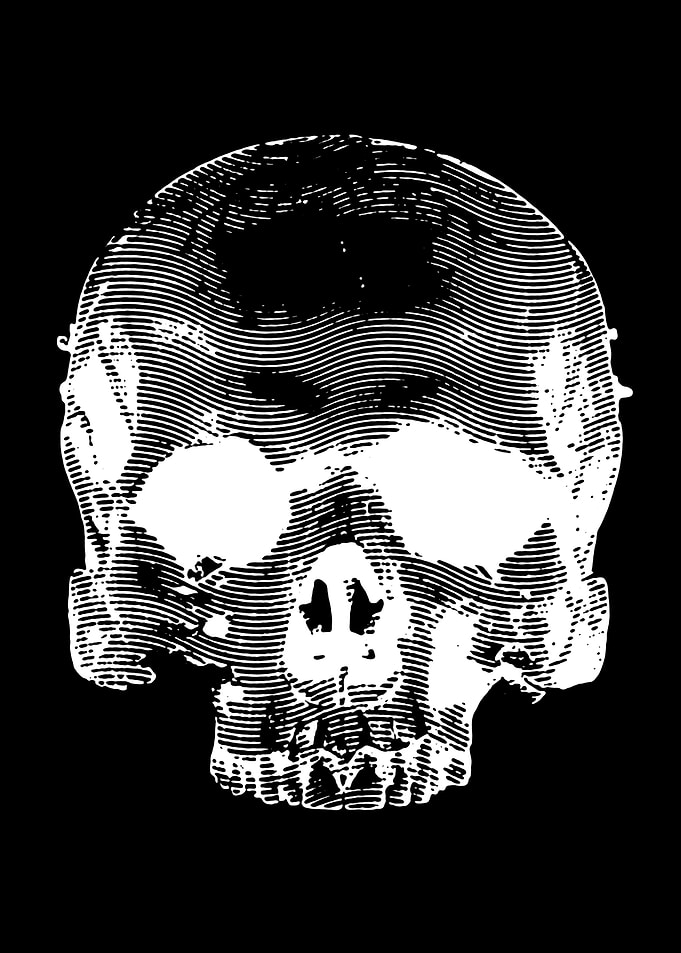 Retro Skull