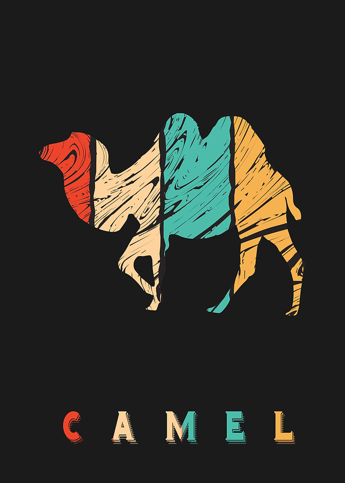Camel