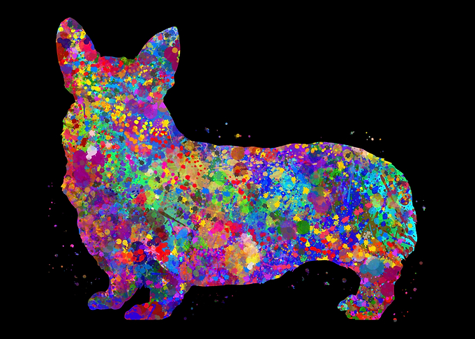 Pembroke Welsh Corgi cute