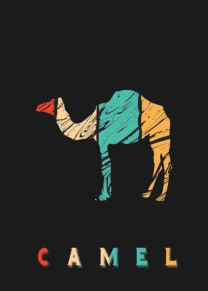 Camel