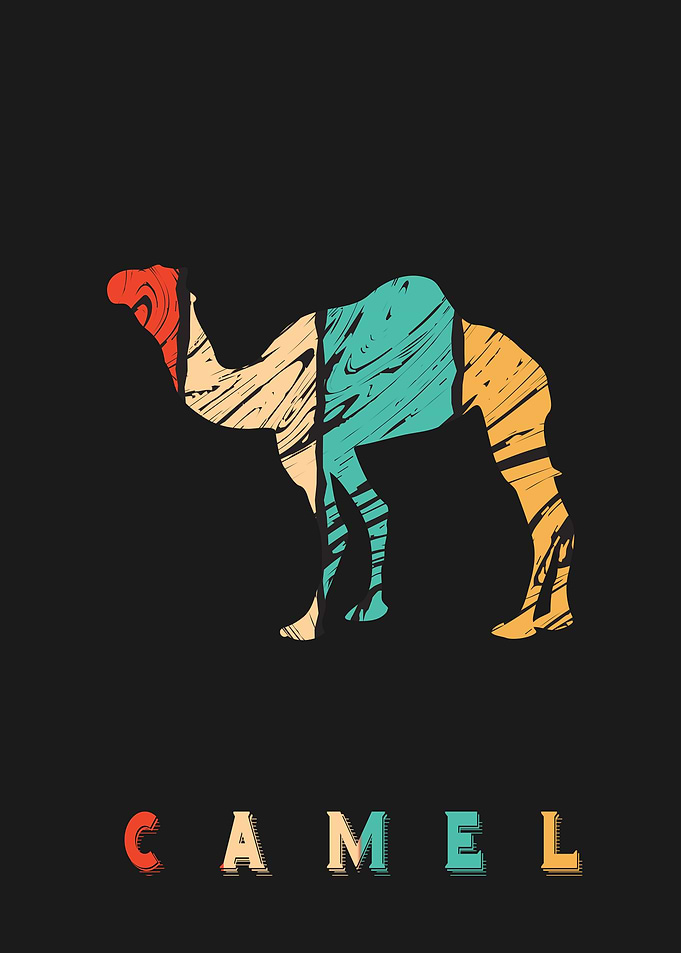 Camel