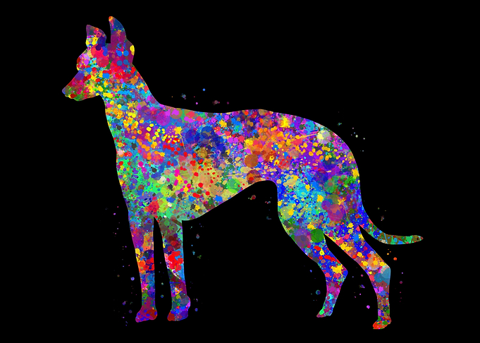 Greyhound watercolor