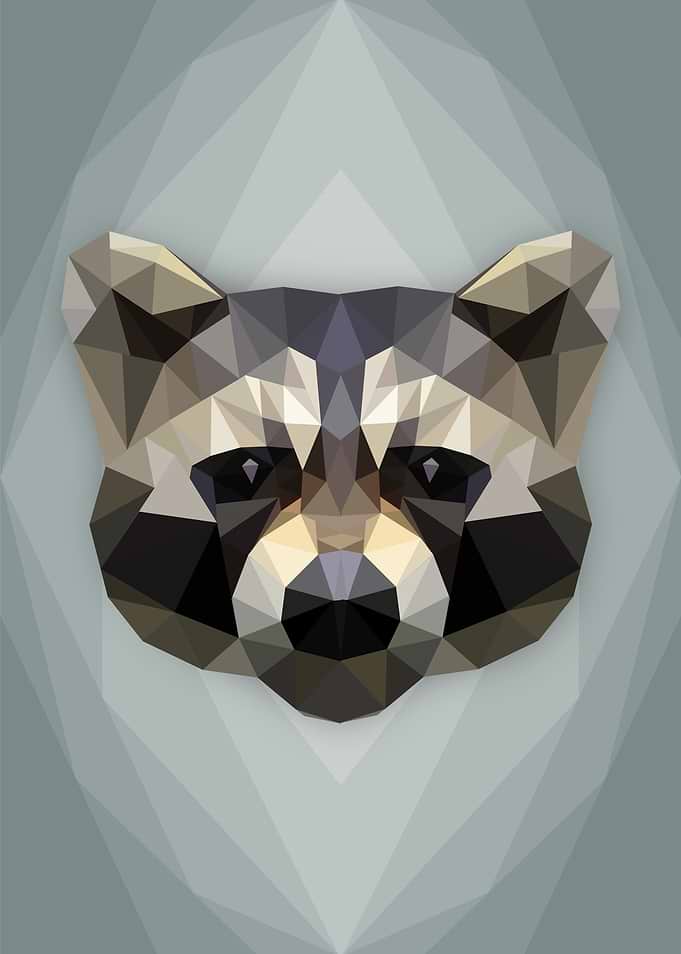 Reckless Raccoon