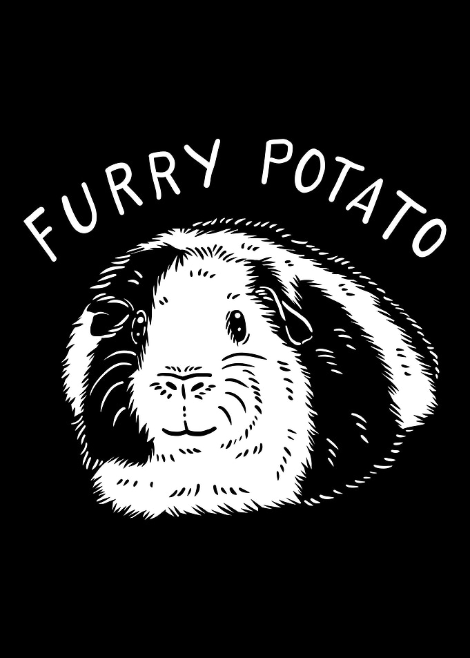 Guinea Pig Furry Potato