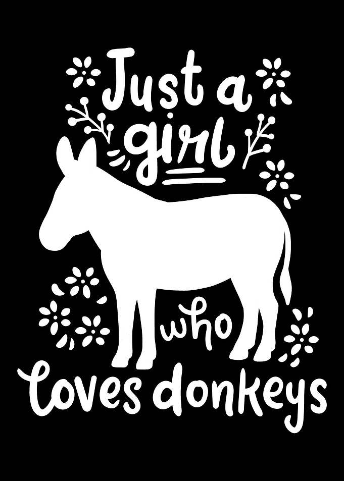 Donkey Farmer Donkey Lover