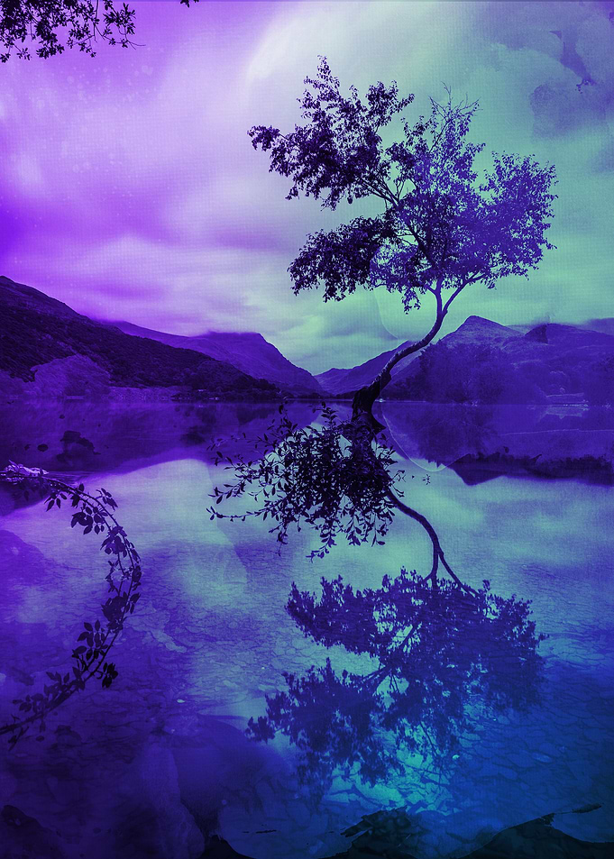 Tree of light