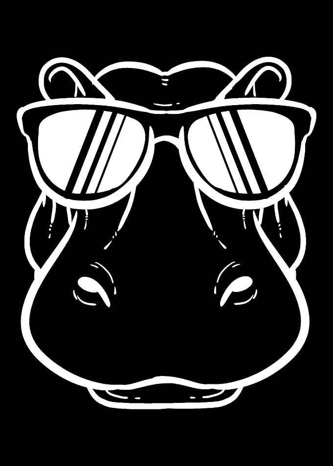 Cool Hippopotamus Zoo Keep