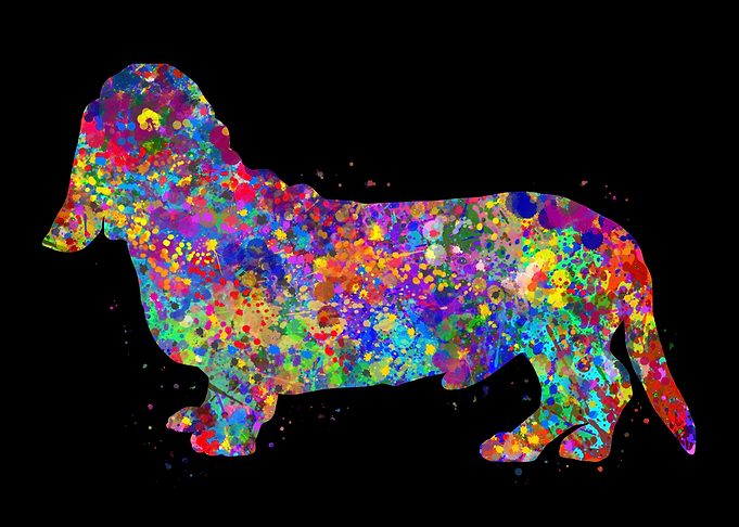 Basset Hound watercolor