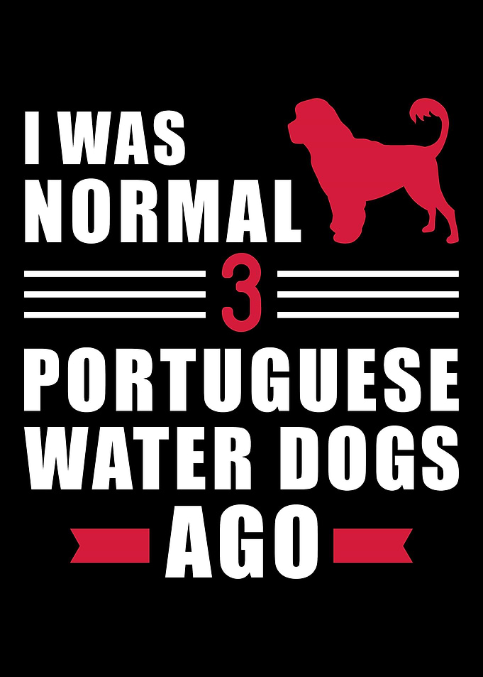 Portuguese Water Dog