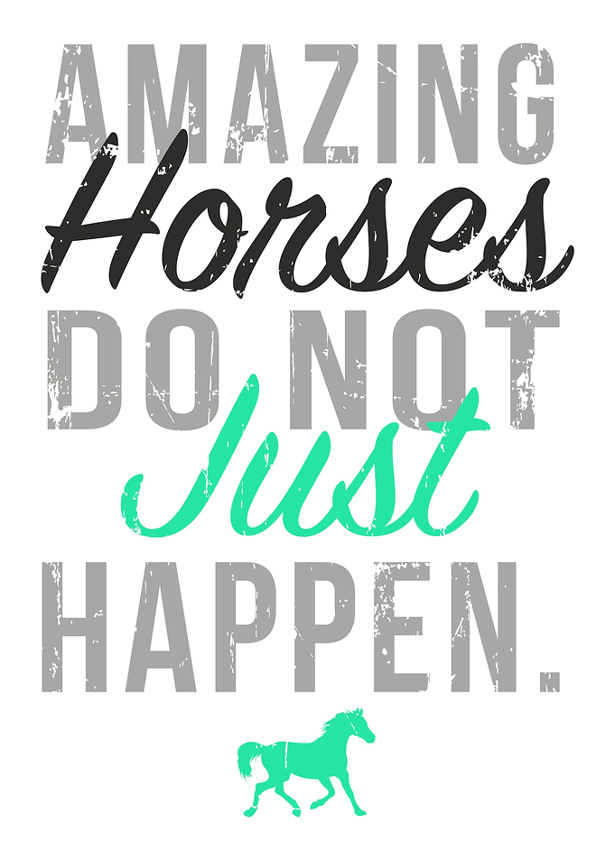 Horse gift