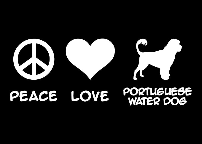 Portuguese Water Dog
