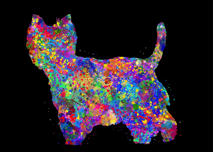 Westie watercolor