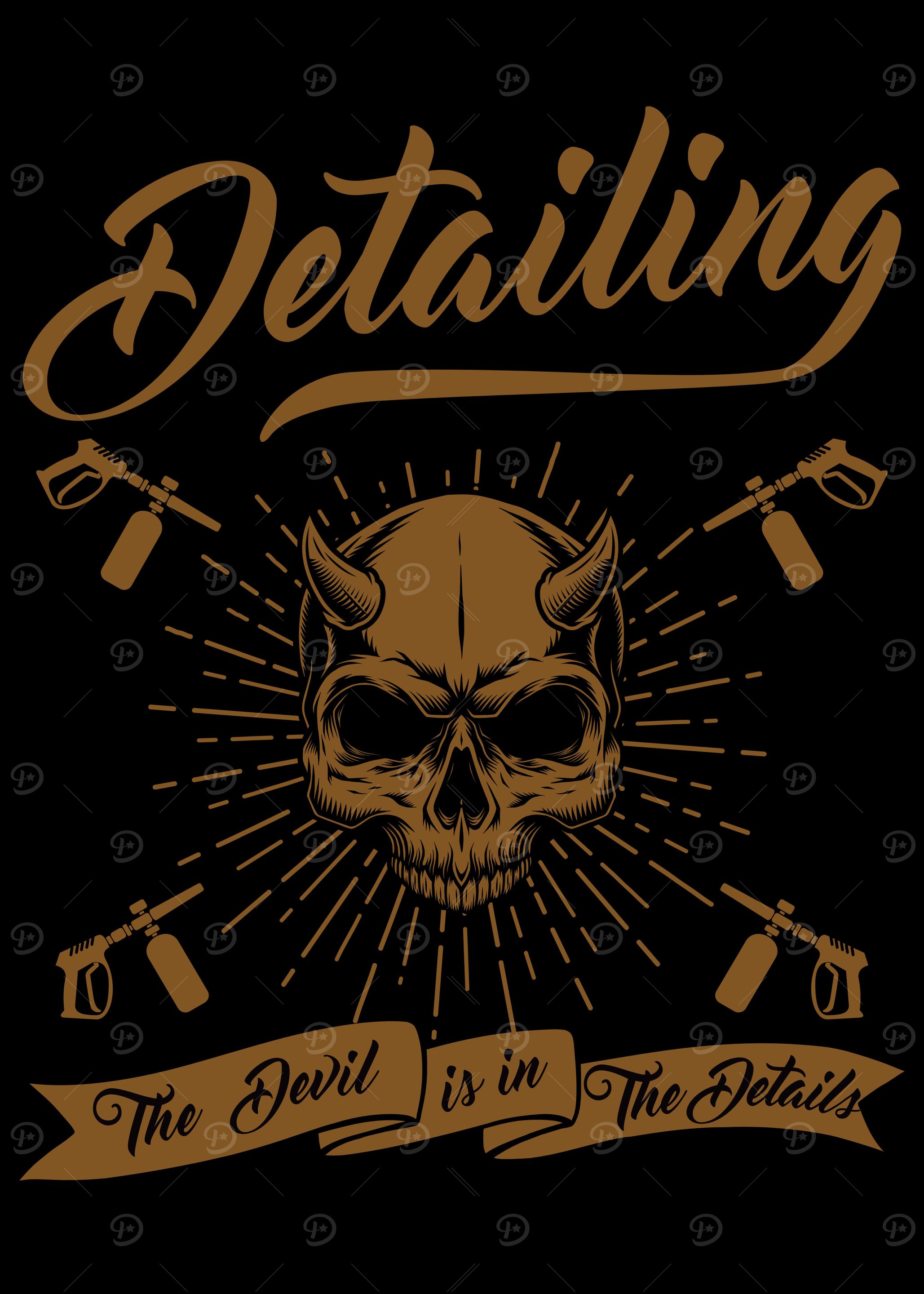 Car Detailing Expert