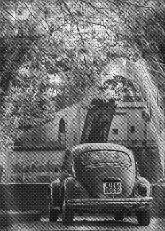vw cars