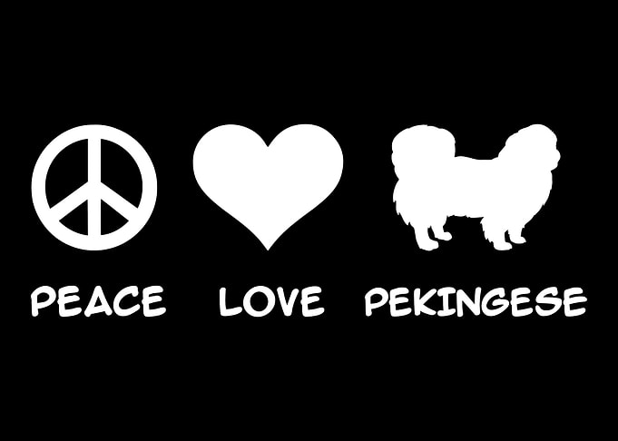 Pekingese