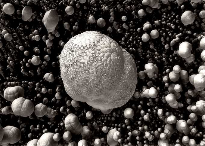 Brain Ball
