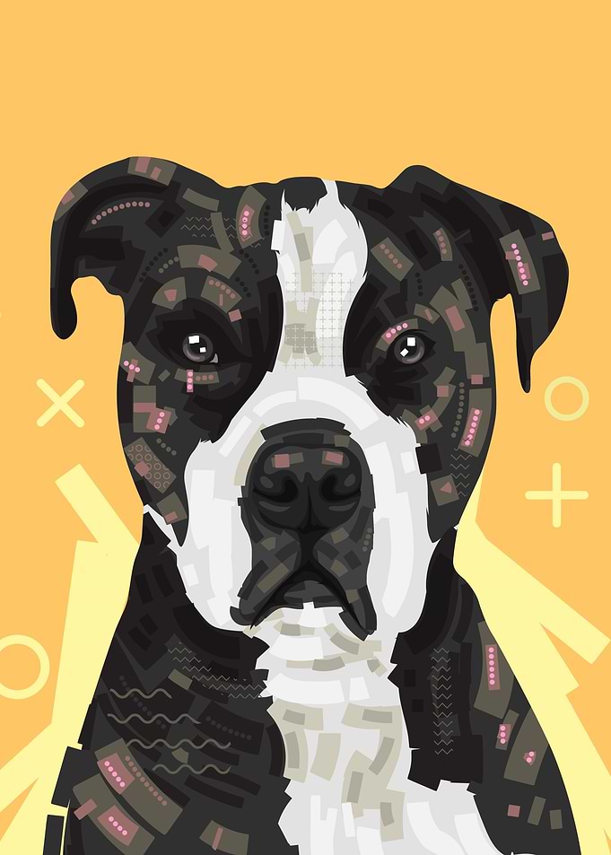 Dog pop art painting