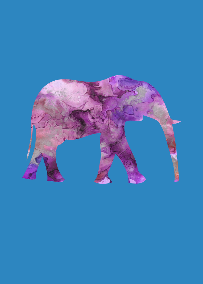 Elephant Funny Animals