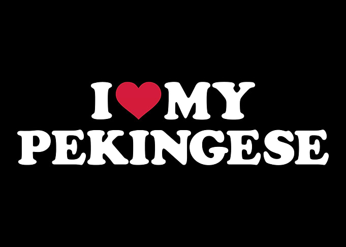 Pekingese