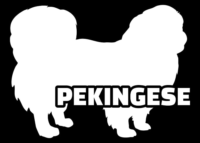 Pekingese