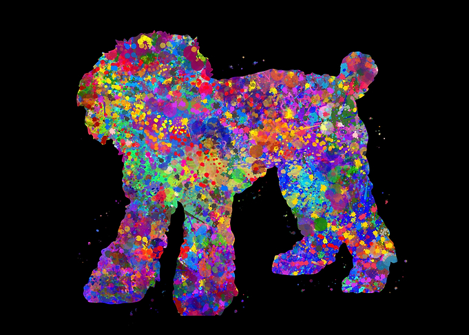 Toy Poodle watercolor