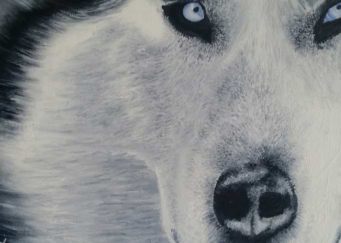 Eyes Cold
