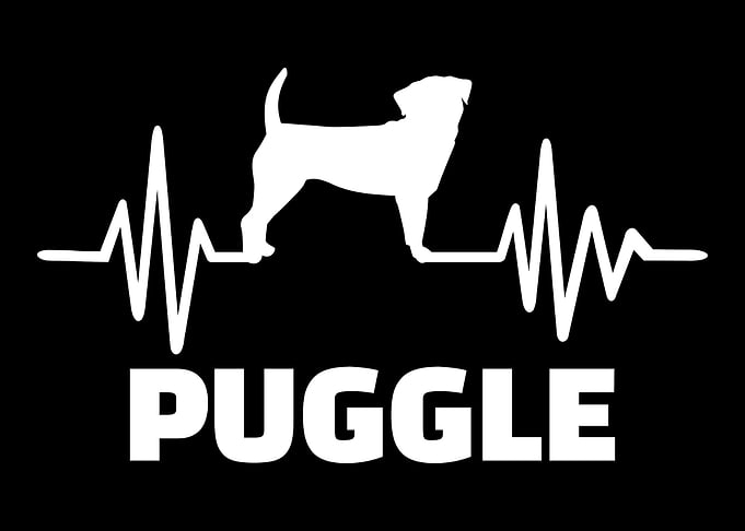 Puggle