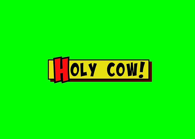 Cartoon box holy cow
